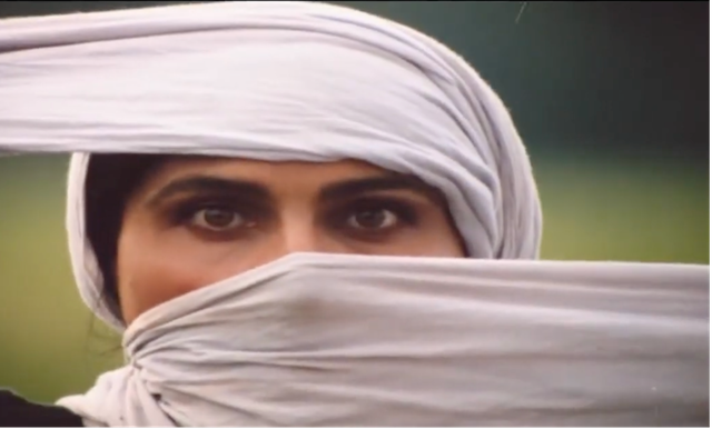 Figure 3: Nā’ī’s close-up after hearing her children call to visit the stranger hidden under the wooden bridge. Frame enlargement from the film Bashu, The Little Stranger (Bāshū, Gharībah-yi Kūchak), directed by Bahrām Bayzā’ī, 1986 (00:11:37).