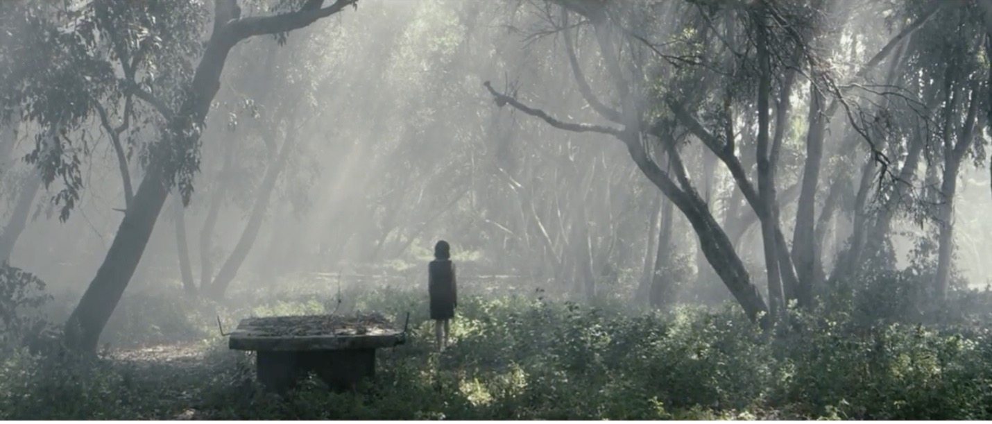 Figures 9–10: Exterior scene saturated with light. Stills from Women Without Men, directed by Shirin Neshat, 2009.

