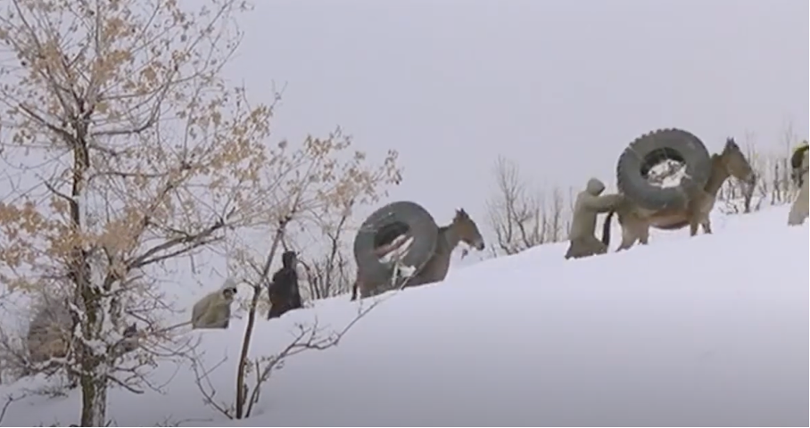 Figure 6: The smugglers transport goods on mules and horses, giving the animals alcohol to warm them and keep them moving. A Time for Drunken Horses (2000). Directed by Bahman Ghobadi. Accessed via https://www.youtube.com/watch?v=qp9-2VKNq8I (01:12:00).